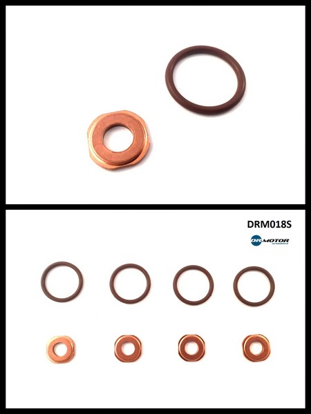 Dr.Motor DRM018S Seal Kit, injector nozzle DRM018S: Buy near me in Poland at 2407.PL - Good price!