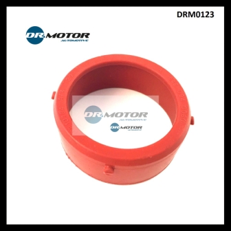 Dr.Motor DRM0123 Turbine gasket DRM0123: Buy near me in Poland at 2407.PL - Good price!