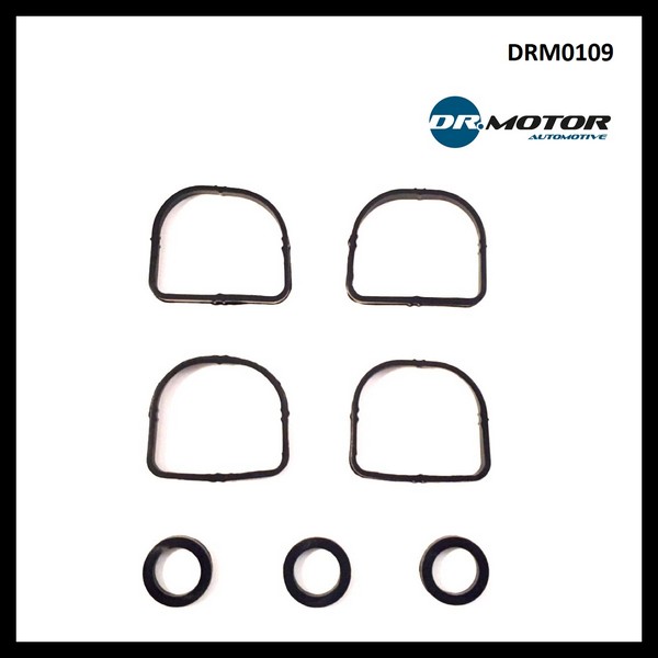 Dr.Motor DRM0109 Intake manifold gaskets, kit DRM0109: Buy near me in Poland at 2407.PL - Good price!