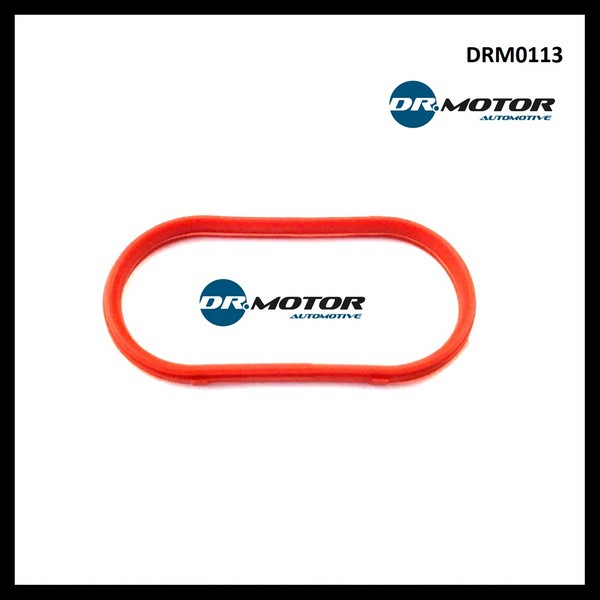 Dr.Motor DRM0113 Dichtung, ansaugkrümmer DRM0113: Kaufen Sie zu einem guten Preis in Polen bei 2407.PL!