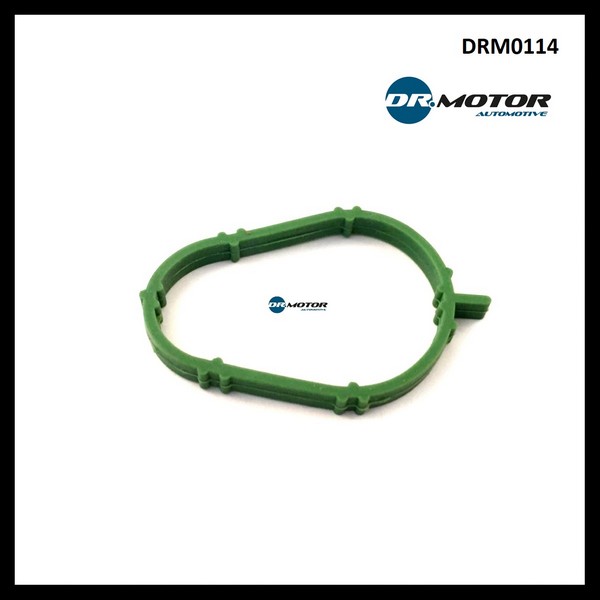 Dr.Motor DRM0114 Gasket, intake manifold DRM0114: Buy near me in Poland at 2407.PL - Good price!