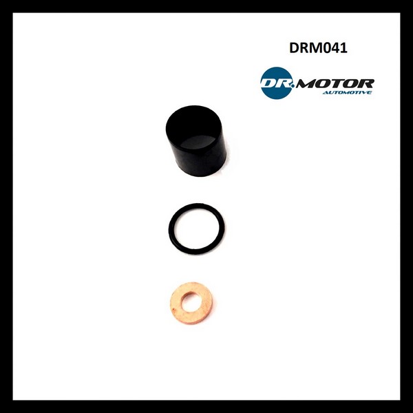 Dr.Motor DRM041 Fuel injector repair kit DRM041: Buy near me in Poland at 2407.PL - Good price!