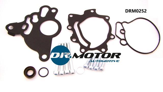 Dr.Motor DRM0252 Repair Set, vacuum pump (braking system) DRM0252: Buy near me in Poland at 2407.PL - Good price!