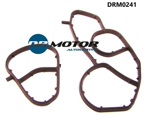 Dr.Motor DRM0241 Seal DRM0241: Buy near me in Poland at 2407.PL - Good price!