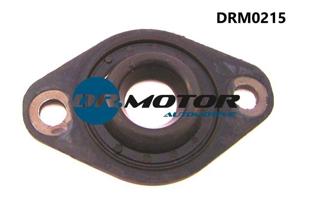 Dr.Motor DRM0215 Seal, injector holder DRM0215: Buy near me in Poland at 2407.PL - Good price!