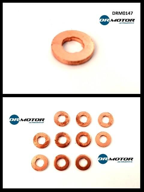 Dr.Motor DRM0147 Seal Kit, injector nozzle DRM0147: Buy near me in Poland at 2407.PL - Good price!