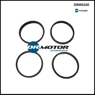 Dr.Motor DRM0160S Прокладки впускного коллектора, комплект DRM0160S: Купить в Польше - Отличная цена на 2407.PL!