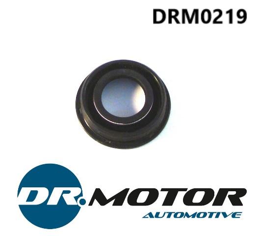 Dr.Motor DRM0219 Oil seal DRM0219: Buy near me in Poland at 2407.PL - Good price!