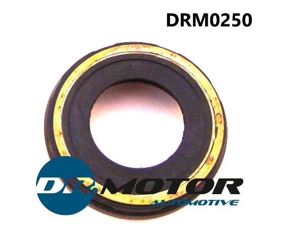 Dr.Motor DRM0250 Кільце ущільнююче форсунки паливної DRM0250: Приваблива ціна - Купити у Польщі на 2407.PL!