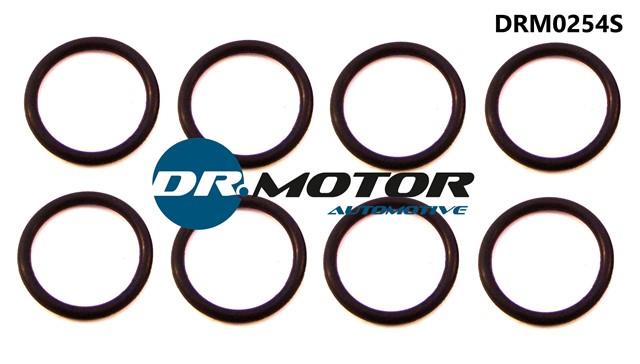 Dr.Motor DRM0254S Seal Ring, nozzle holder DRM0254S: Buy near me in Poland at 2407.PL - Good price!