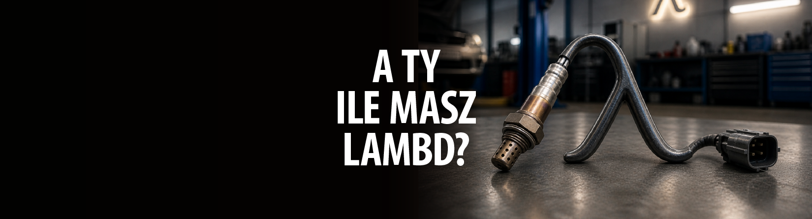 Obejrzyj nowy film