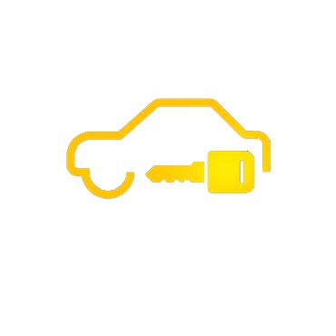 Immobilizer Issue Warning Light