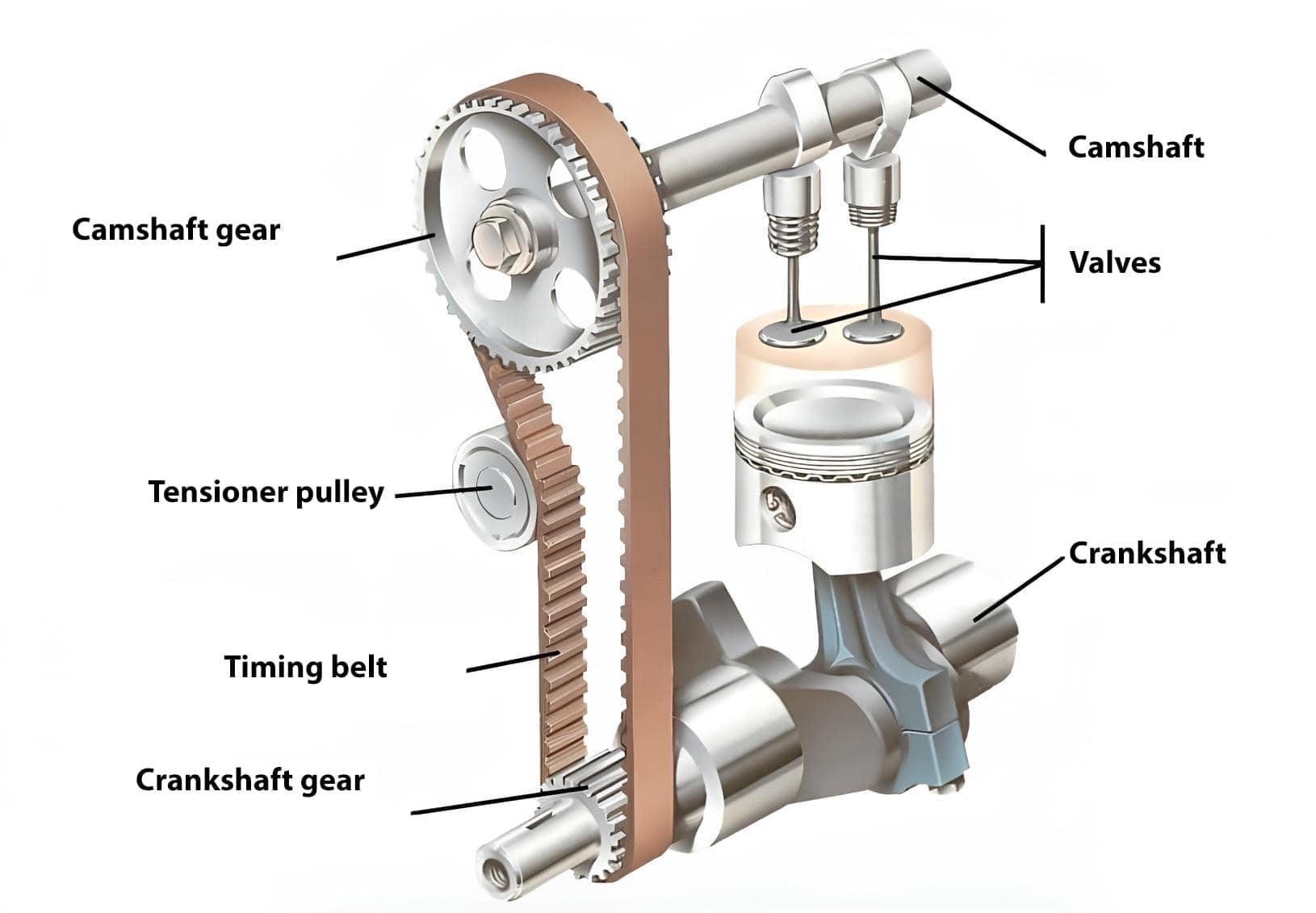 Timing belt in a car